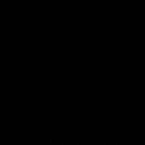 Meet your Posher, Dylan